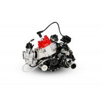 MOTORE ROTAX MAX DD2 EVO 125cc